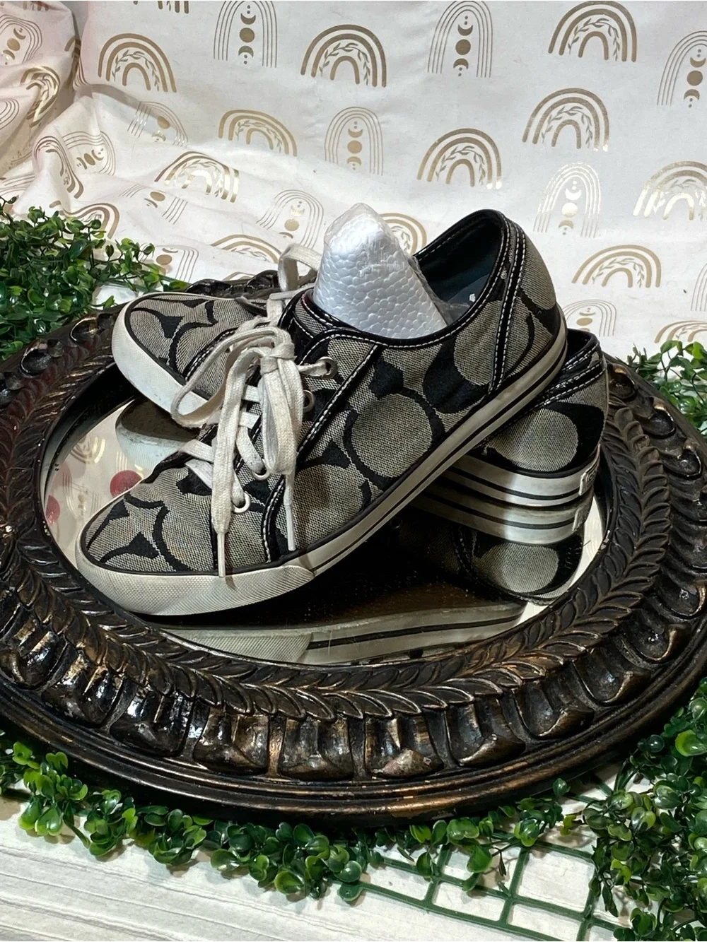 Coach low top
